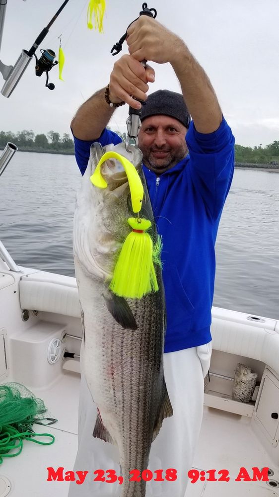 Large Rock Fish